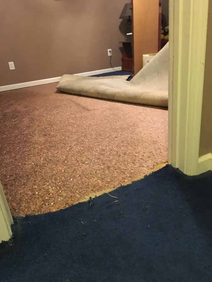 Carpet pad removal revealing water damage during Water Mitigation Services in Gardnerville