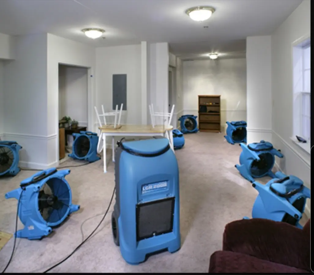 Air movers and dehumidifier setup for Water Extraction & Removal in Gardnerville