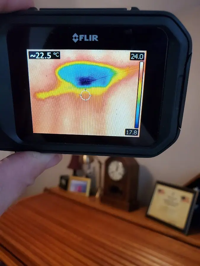 Thermal imaging inspection for water damage in Gardnerville